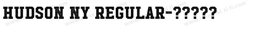 Hudson NY Regular字体转换
